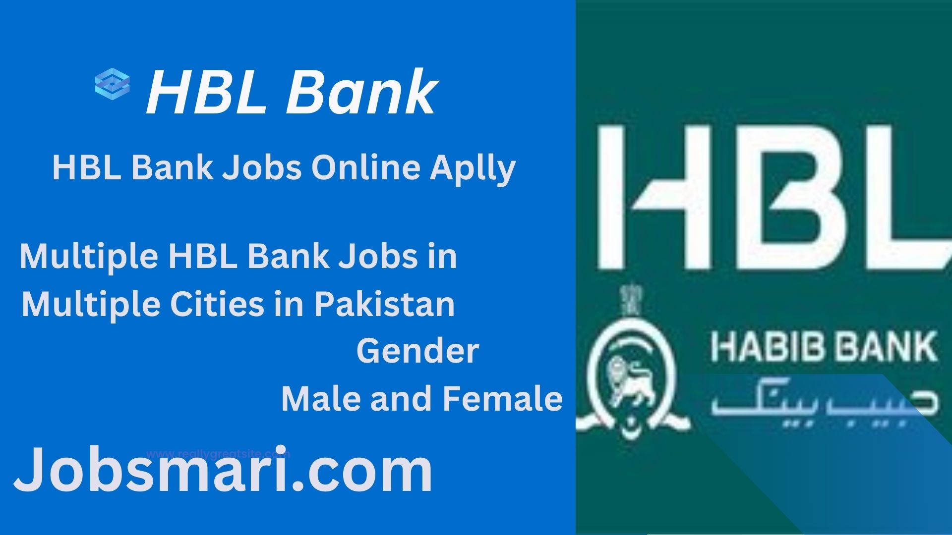 HBL Bank jobs 2025
