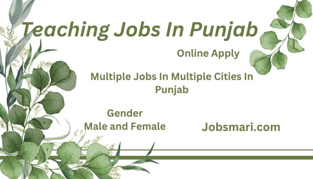 teaching jobs in punjab